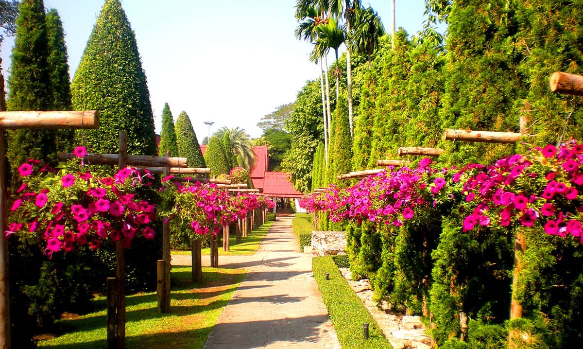 Восхитительный Тропический парк Нонг Нуч в Паттайе