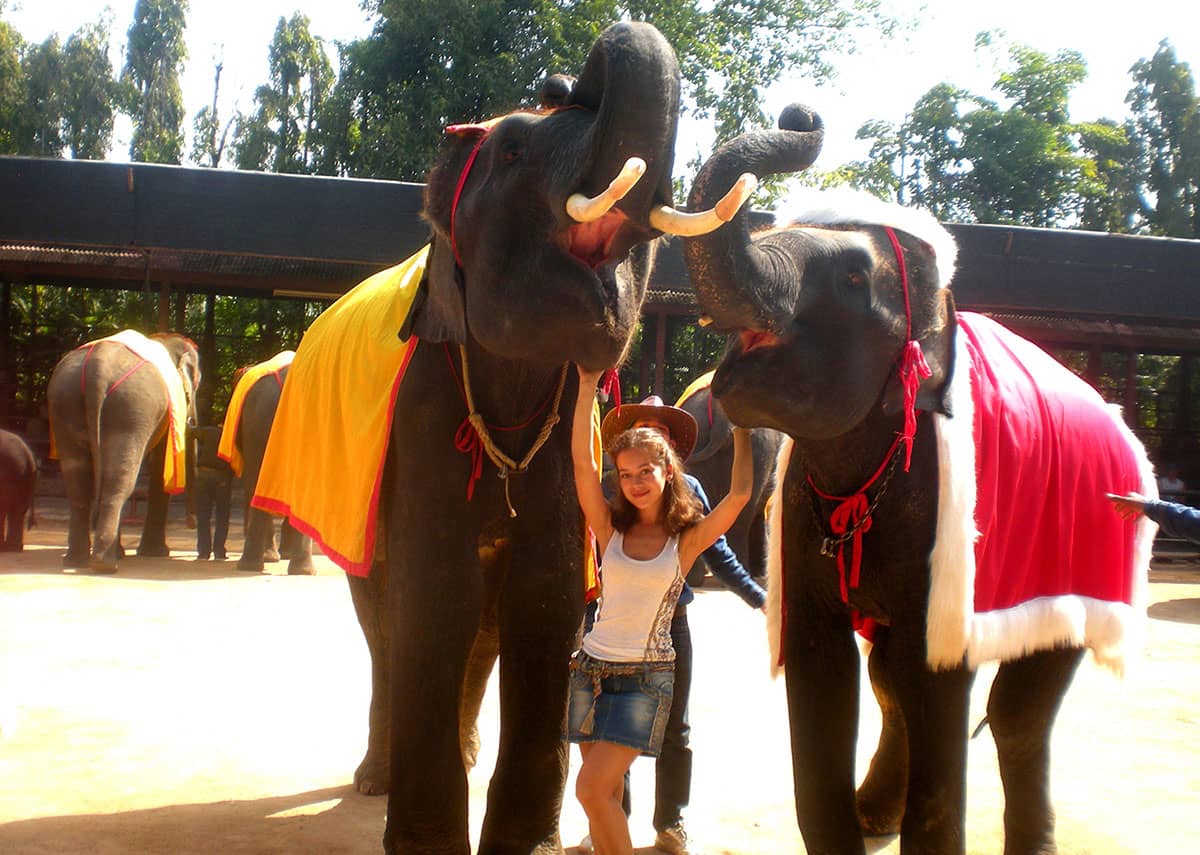 Шоу слонов в Тайланде