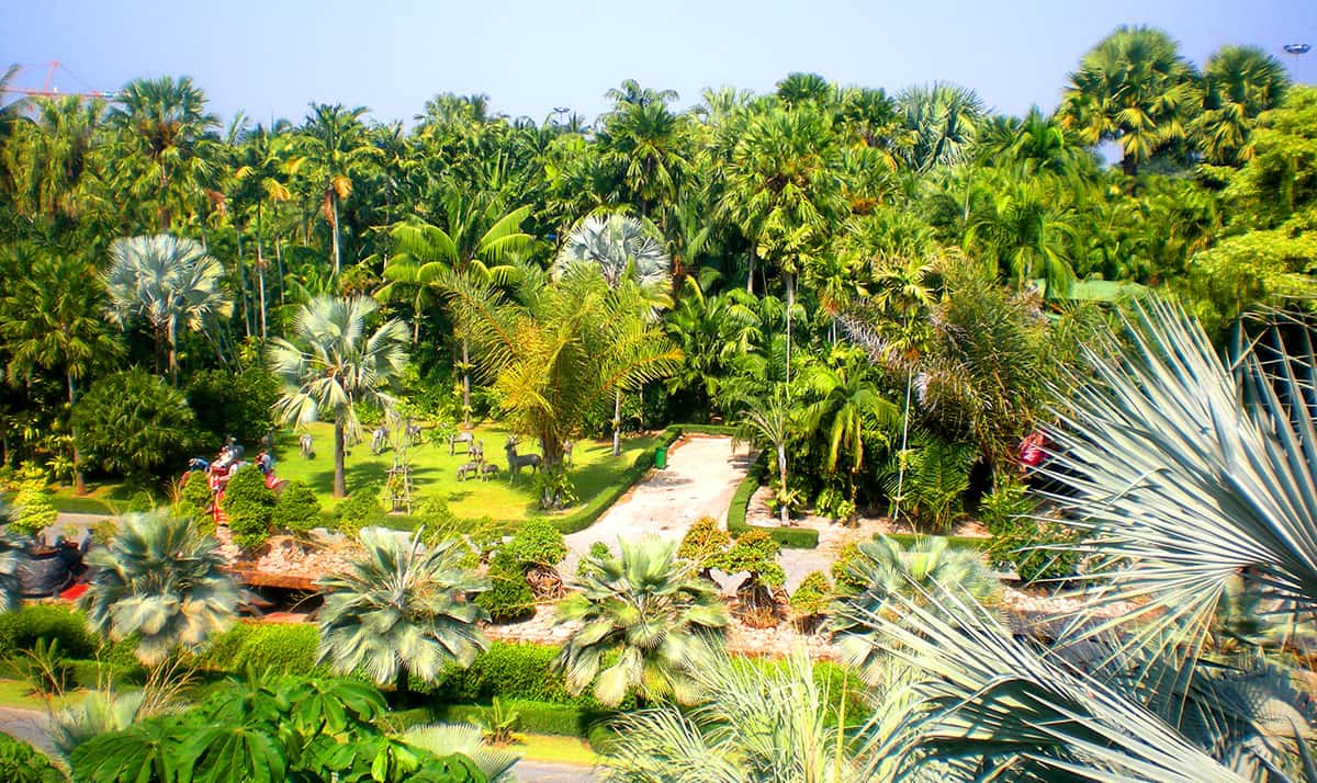 Восхитительный Тропический парк Нонг Нуч в Паттайе