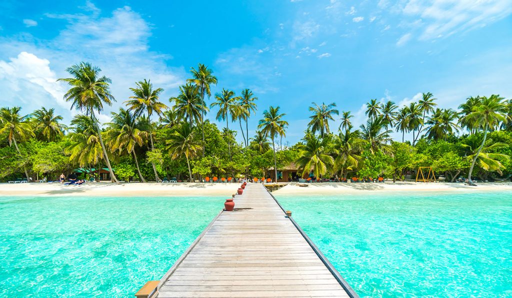Жизнь и работа на райских Мальдивах