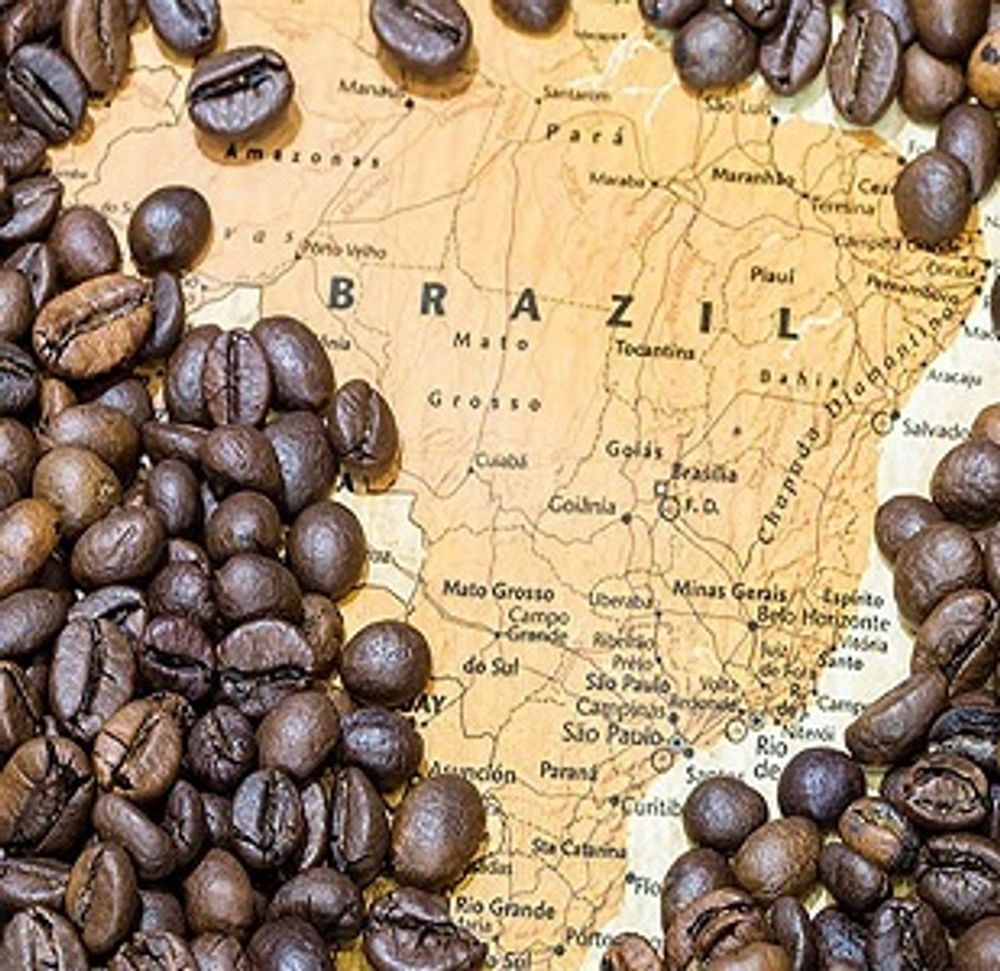 Бразильский кофе: нектар волшебного вкуса и удивительных историй
