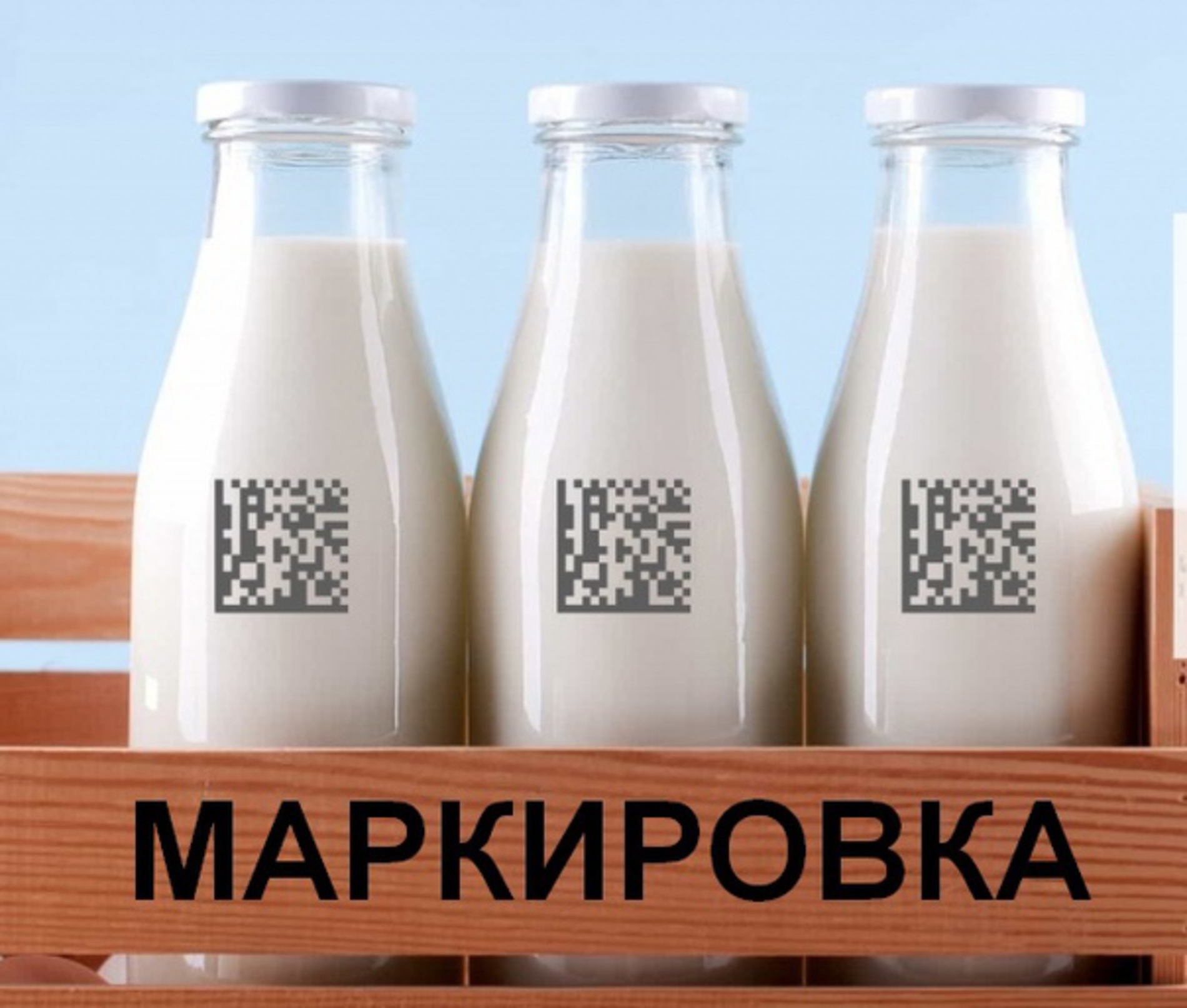 Маркировка молока: важные аспекты и преимущества