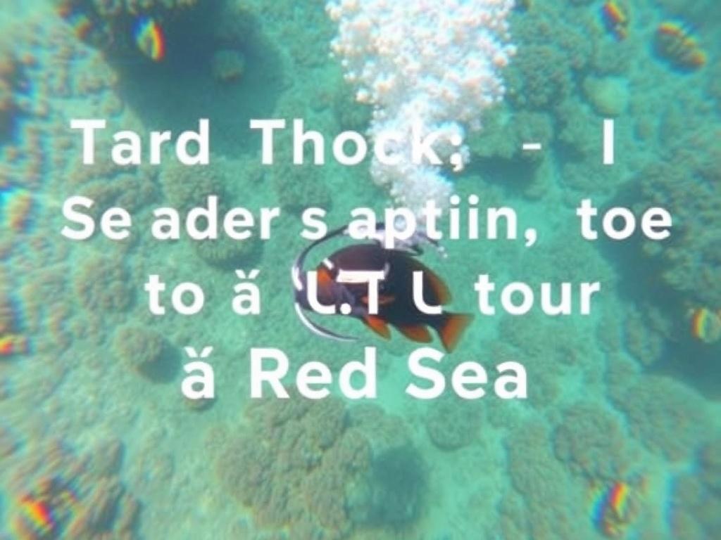 Tauchen im Roten Meer.. Recapitulando: pasos para planificar tu viaje de buceo al Mar Rojo