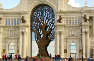 дерево дворец земледельцев