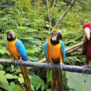 нужна ли виза на филиппины