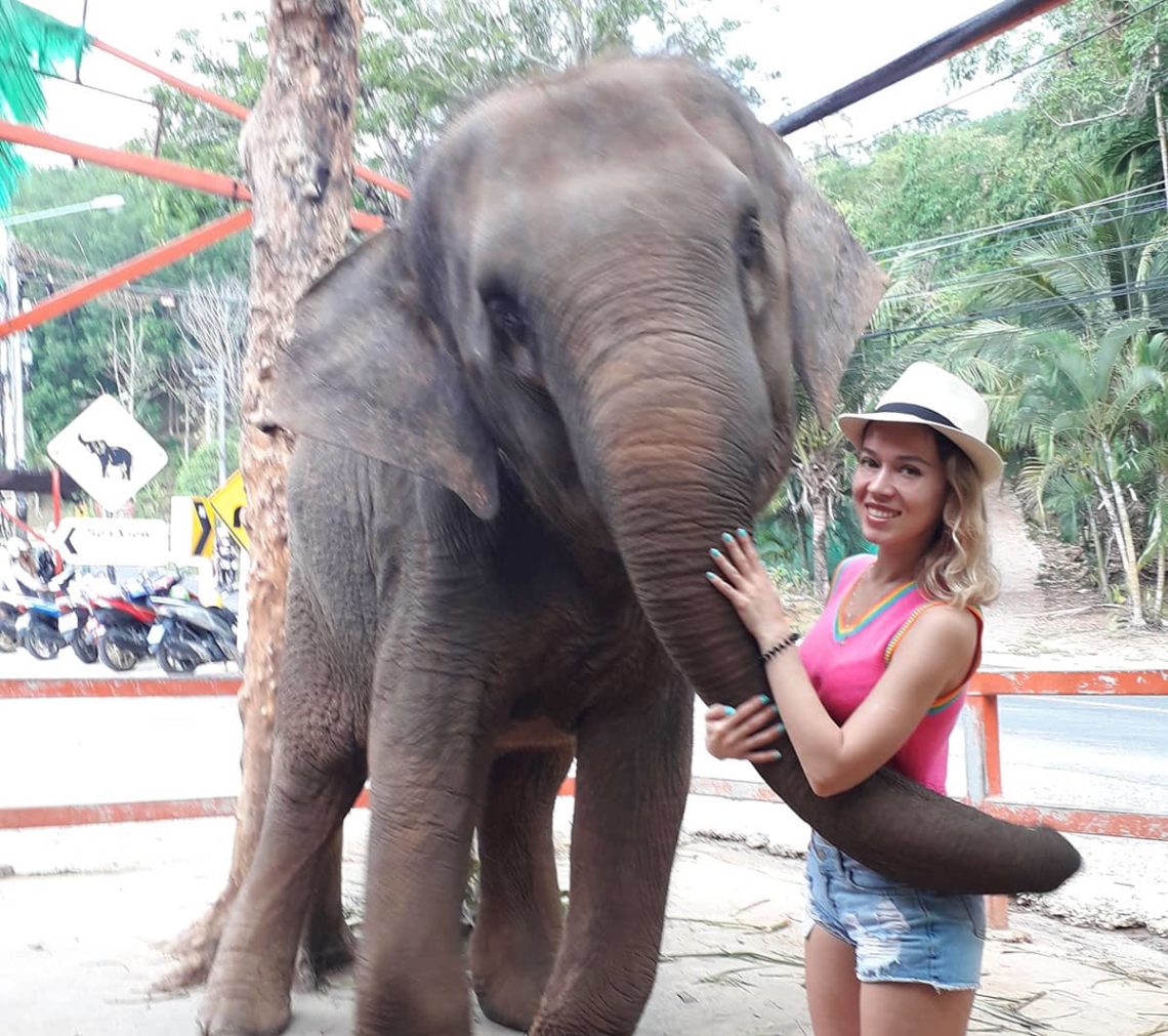 Слоновая ферма Sea View Elephant Camp