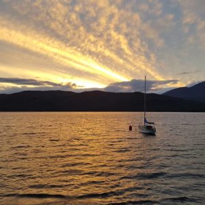 история переезда в новую зеландию