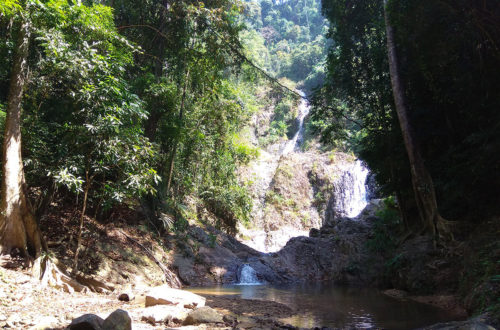 Khao Phanom Bencha National Park