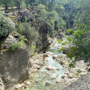 тазы каньон отзывы