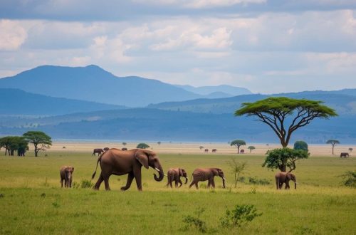 Safari in Tansania: Ein unvergessliches Abenteuer in der afrikanischen Wildnis