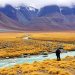 Abenteuer in Patagonien: Ein unvergessliches Erlebnis in der Wildnis Südamerikas