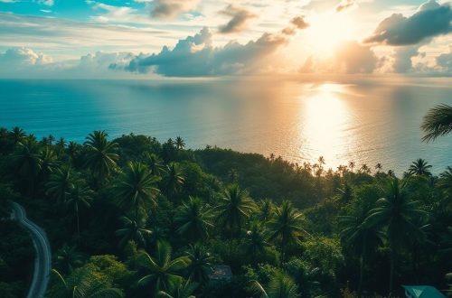 Reisen in die Tropen: Ein unvergessliches Abenteuer zwischen Palmen und Paradiesen