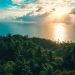 Reisen in die Tropen: Ein unvergessliches Abenteuer zwischen Palmen und Paradiesen