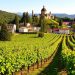 Best Destinations for Wine Lovers: Exploring the World One Glass at a Time