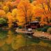Die besten Reiseziele im Herbst: Wo Farben, Kultur und Genuss sich vereinen