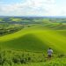 How to Stay Healthy While Traveling: Your Ultimate Guide to Wellness on the Go