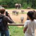 Observar a los animales en su hábitat natural: guía práctica, ética y emocionante