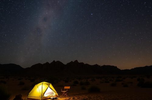 Bajo un cielo infinito: acampar bajo las estrellas en el desierto