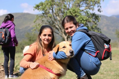Le bénévolat à l'étranger: Woofing, HelpX y otras formas de voluntariado que cambian vidas