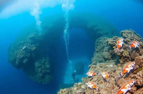 Buceo en el Gran Agujero Azul de Belice: una inmersión en la historia, la geología y la aventura