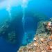 Buceo en el Gran Agujero Azul de Belice: una inmersión en la historia, la geología y la aventura