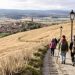 Caminar hacia lo esencial: una guía íntima para recorrer el Camino de Santiago