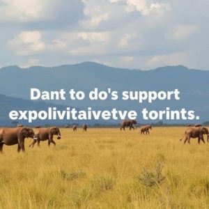 Respetar la vida silvestre: no apoyar el turismo explotador